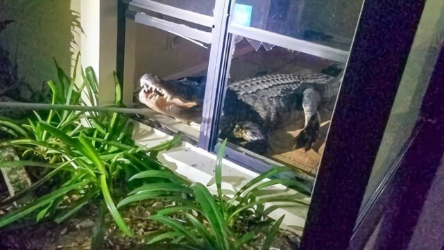 女子凌晨被“不速之客”惊醒