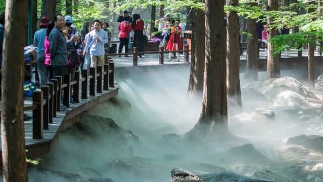 北京植物园雾气缭绕 