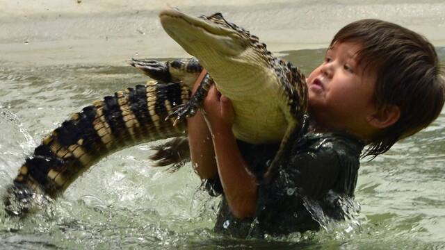 “别人家的孩子”