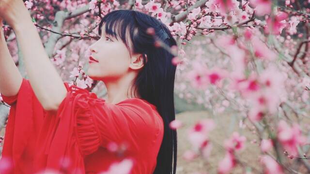 李子柒、李佳琦、不倒翁女孩…盘点2019年十大网络红人