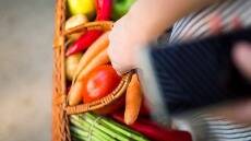 全民抢菜，让差点倒下的生鲜电商又站了起来