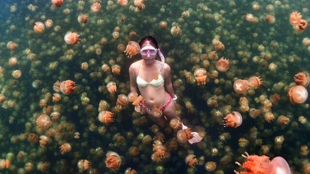 女子与上千只水母共舞