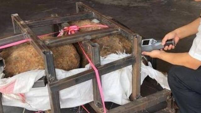 上海海关查获“天外陨石”