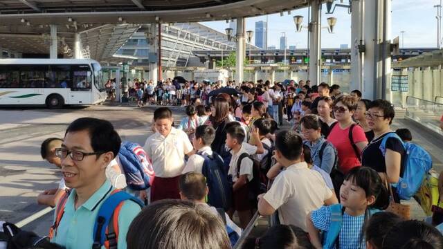 3万深圳学童跨境赴港读书