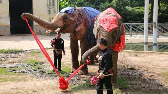 “大型”婚礼现场