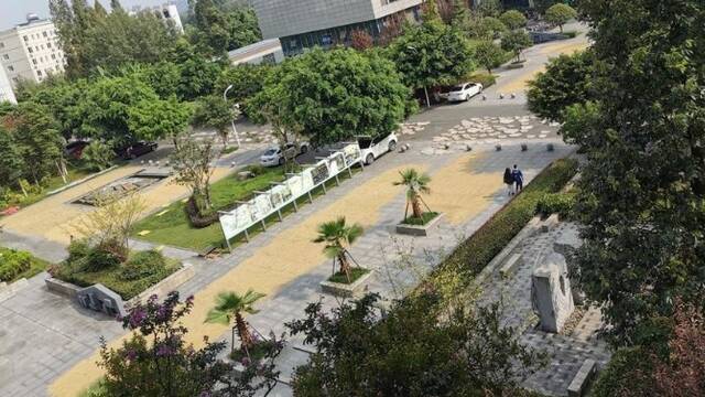 网友：真不愧是农业大学