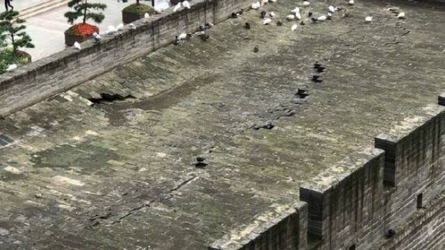 连阴雨致西安明秦王府城墙浸水