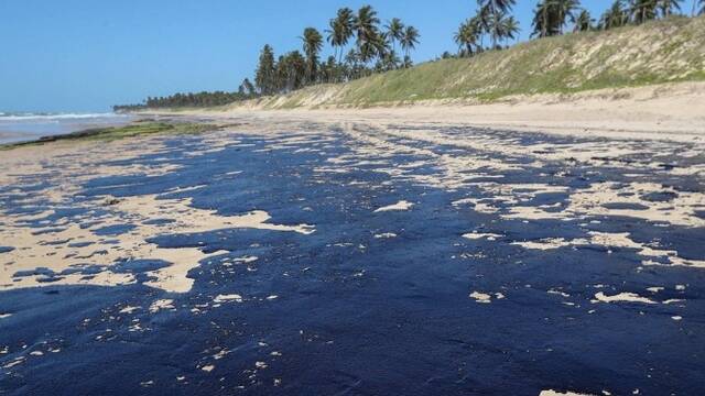 巴西原油泄漏 海滩遍布油污