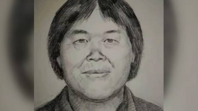 涉9起拐卖儿童案 她让数个家庭支离破碎