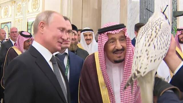 普京送沙特国王一只猎鹰 签下百亿大单