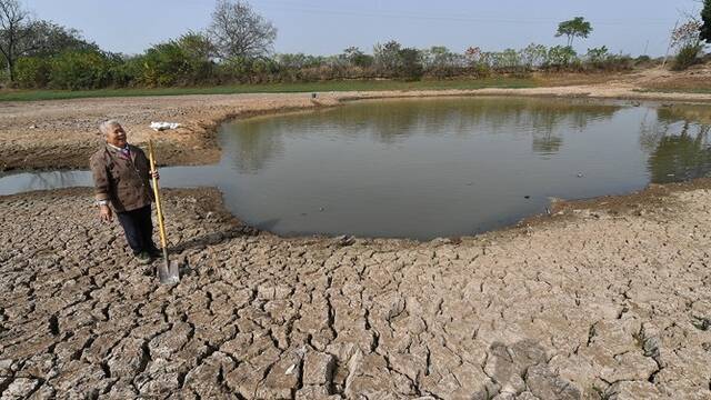 直击安徽干旱：部分粮田绝收 水塘见底