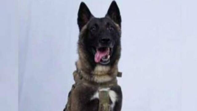 凌晨 特朗普晒了张“英雄”照片