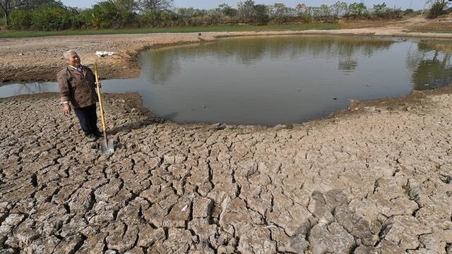 安徽持续干旱 水塘干涸部分粮田绝收