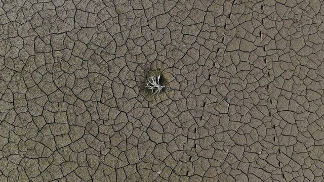 安徽：万佛湖水位下降6米后