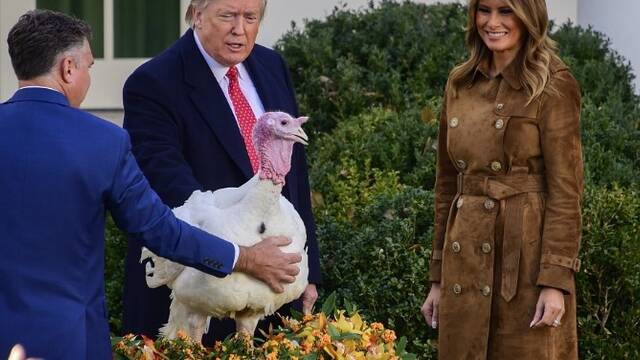 特朗普赦免了两只火鸡