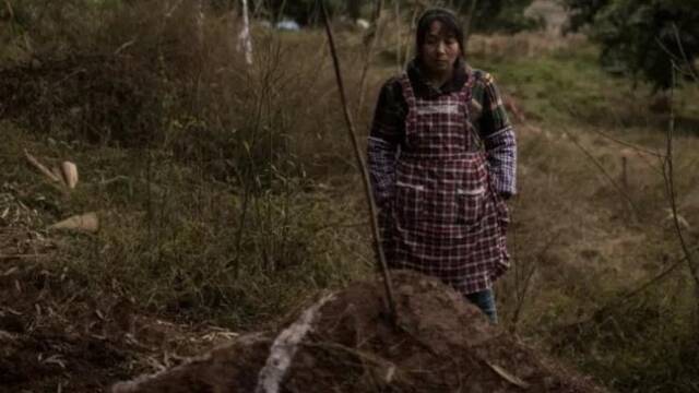 家暴过后：我死了也不要和他葬在一起