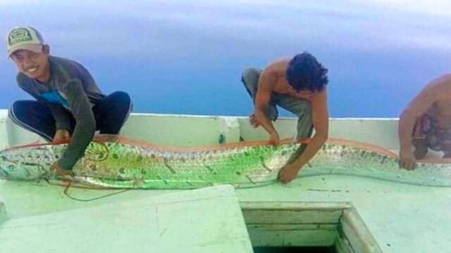 渔民捕获深海怪鱼称是地震前兆