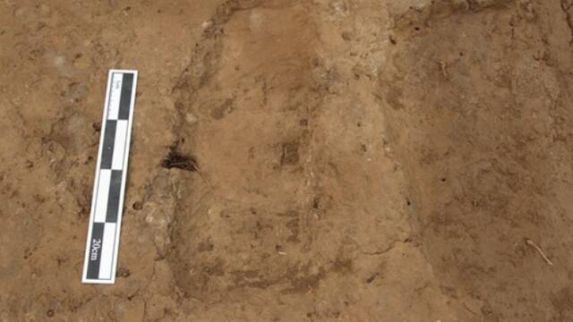 陕西这一铲子，挖到了“金屋藏娇”