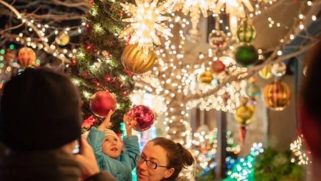 美国旧金山湾区“圣诞树巷”华灯齐放