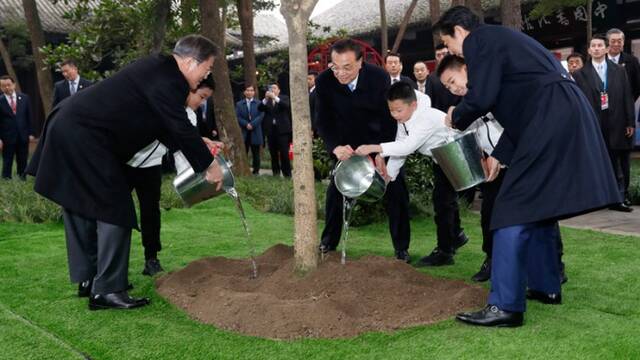 中日韩领导人在杜甫草堂共同种下一棵桂花树