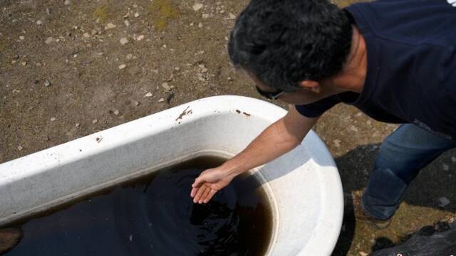 澳大利亚大火后，雨水染成墨色