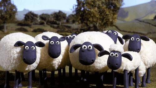 薅羊毛无底线，但有对手 | 风眼观察