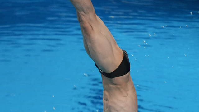 游泳世锦赛 | 中国跳水9金4银收官