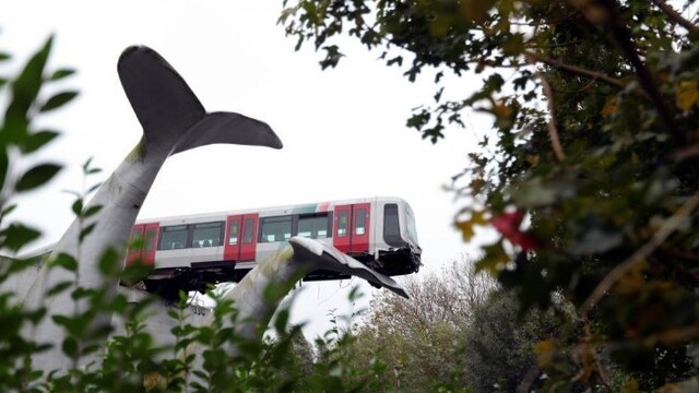 “鲸”险！荷兰轻轨冲出轨道被鲸鱼尾雕塑接住