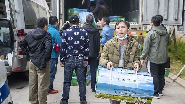 308箱！蒙古国捐赠羊肉运抵海南