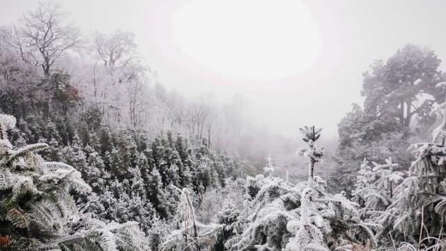 广西遭遇“断崖式”降温 南国变为“雪乡”