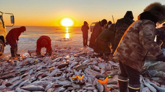 18万斤！查干湖冬捕“开门红”