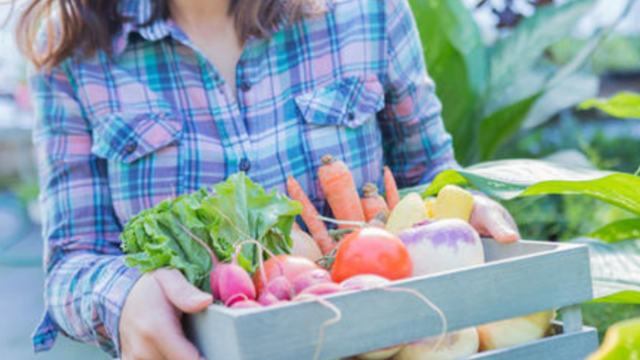 社区团购：低价背后，一地鸡毛