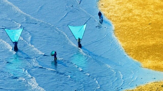 挖出这些深藏的“鲜”