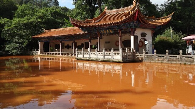 昆明黑龙潭清水潭一夜变红