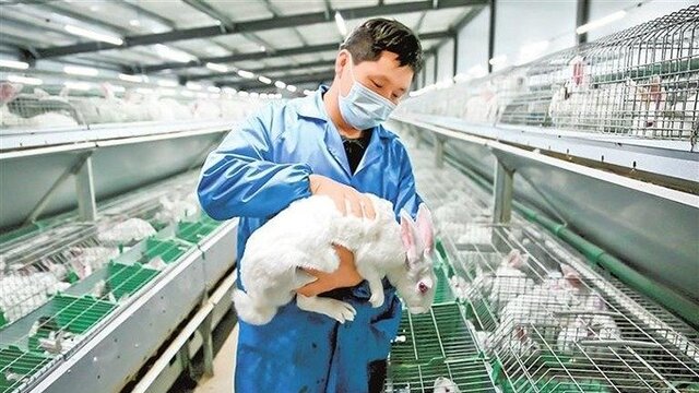 陇青更“亲密”：东西部协作育出火红产业