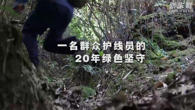 走进龙虎山：护线员20年的坚守
