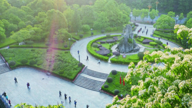幸福装满 “口袋公园”