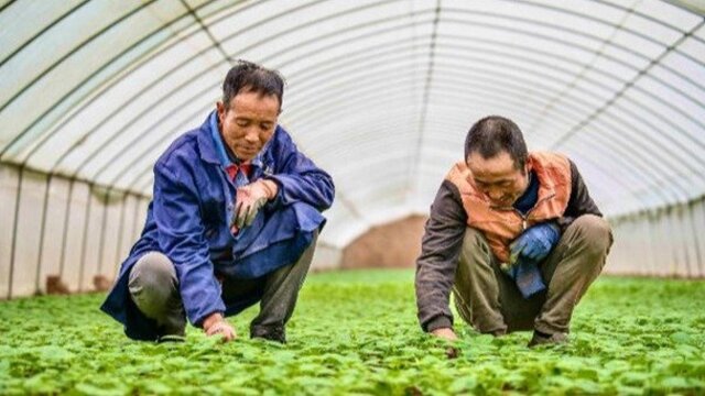 陇西：距离近了2公里，生活进步20年