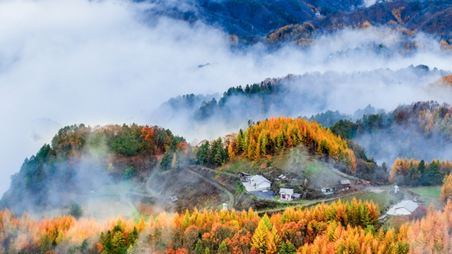 惊艳！神农架“红坪画廊”现云雾美景