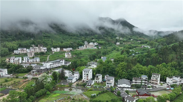 春到园村