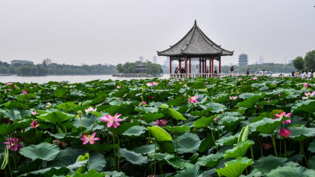 济南：恍若江南，不经意就会邂逅泉水