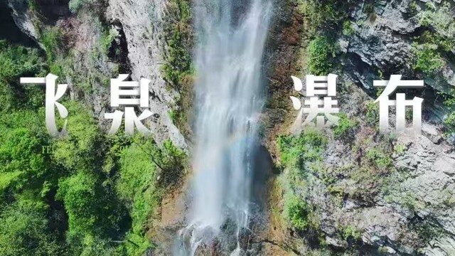 “2025诗歌盲盒共创大赛”设大奖，零门槛参与，众明星大咖同框喊话