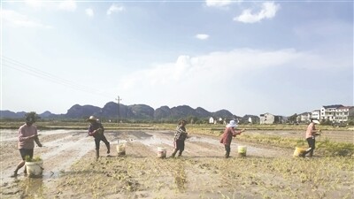 春耕忙