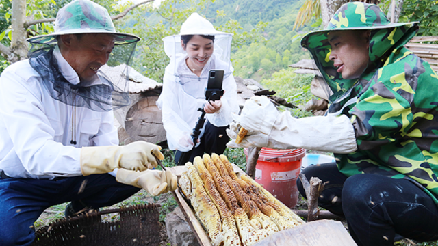 数据分析替代祖传经验　甘肃新农人解锁种地新姿势