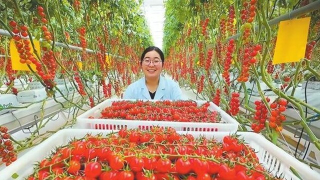 微纪录片里的甘肃故事