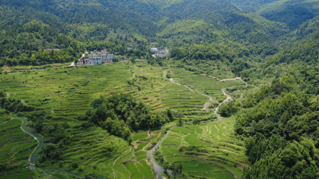 梯田风景如画
