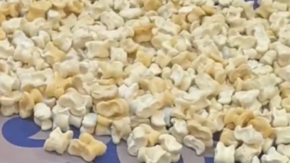 草原游戏“骨”舞千载　是谁的童年DNA动了