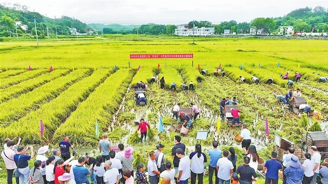 趣味运动会