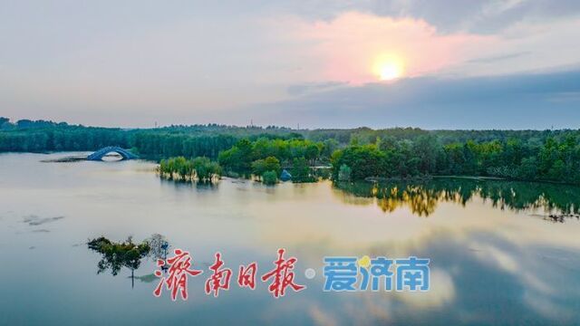 济南睦里闸迎来“贵客” 上百只白骨顶鸡栖息觅食成生态美景