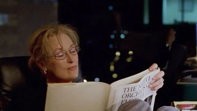 接受生命的不完美与流动本质 | 10月新书，推荐这11本